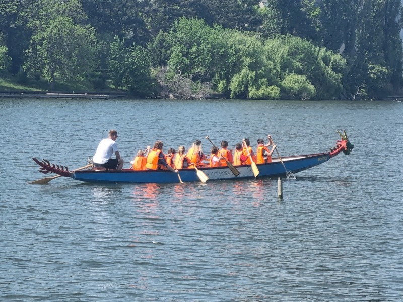 Sail to success with your team on a Dragon Boat in Bucharest