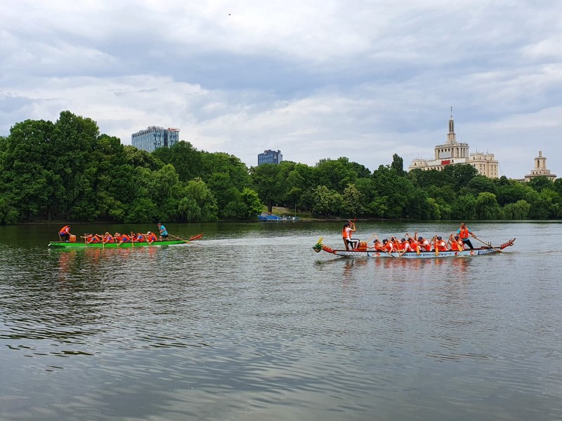 Sail to success with your team on a Dragon Boat in Bucharest