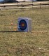Your first archery lesson near Sibiu