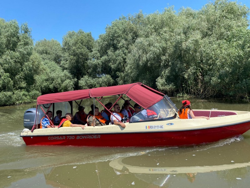 Admira coloniile de pasari intr-o plimbare cu barca in Delta Dunarii