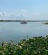 Plimbare cu barca de 5 ore pe traseul Tulcea-Mila 23 in Delta Dunarii