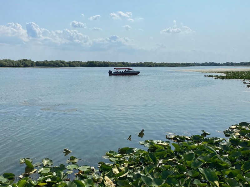 Plimbare cu barca de 5 ore pe traseul Tulcea-Mila 23 in Delta Dunarii