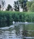 Plimbare cu barca de 5 ore pe traseul Tulcea-Mila 23 in Delta Dunarii