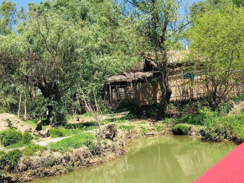 One day boat trip on the route Tulcea - Mila 23 - Letea - Sulina