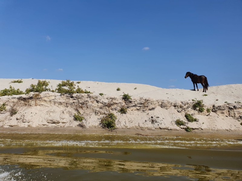 One day boat trip on the route Tulcea - Mila 23 - Letea - Sulina