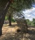 Plimbare cu barca de o zi pe traseul Tulcea-Caraorman-Sfantu Gheorghe
