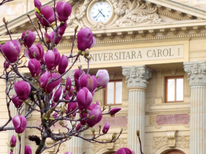 Afla povestea Micului Paris si bucura-te de o sedinta foto profesionala