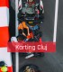 Outdoor karting for adults and children - Adrenaline at maximum heights