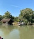 Admira coloniile de pasari intr-o plimbare cu barca in Delta Dunarii