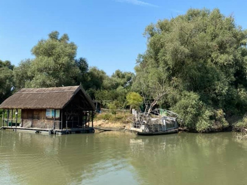 Admira coloniile de pasari intr-o plimbare cu barca in Delta Dunarii