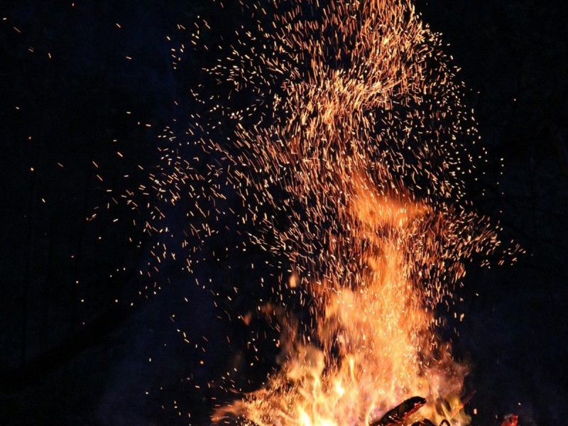 3-night traditional holiday in the forest with activities included