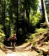 Tur pe E-Bike al padurilor din Poiana Brasov