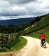Tur pe E-Bike al padurilor din Poiana Brasov