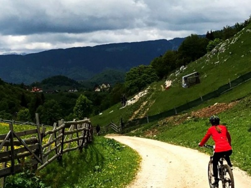 Tur pe E-Bike al padurilor din Poiana Brasov