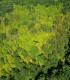 Fly over Targu Jiu and feel pure adrenaline