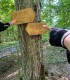 Guided E Bike tour in the village of Viscri or Poiana Brasov