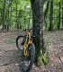 Guided E Bike tour in the village of Viscri or Poiana Brasov