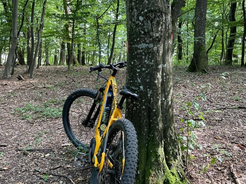 Guided E Bike tour in the village of Viscri or Poiana Brasov