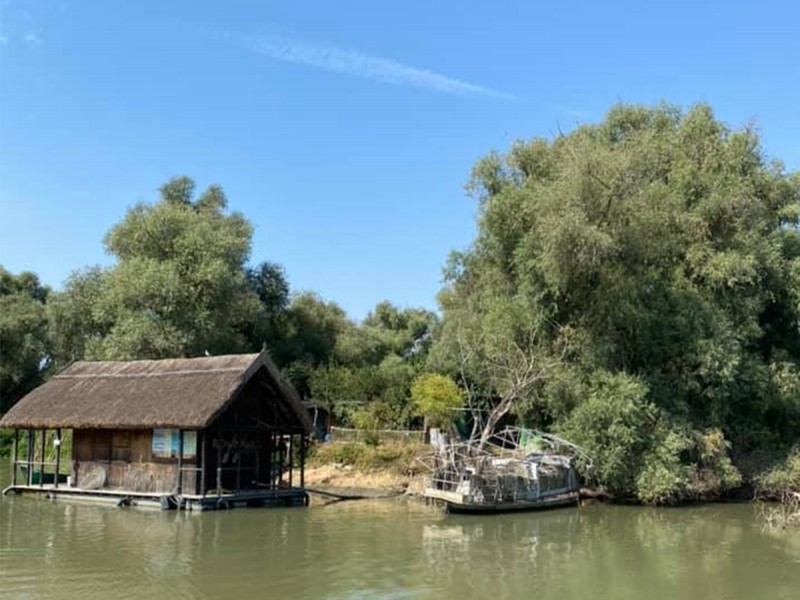 Plimbare cu barca de 5 ore pe traseul Tulcea-Mila 23 in Delta Dunarii