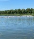 Plimbare cu barca de 5 ore pe traseul Tulcea-Mila 23 in Delta Dunarii
