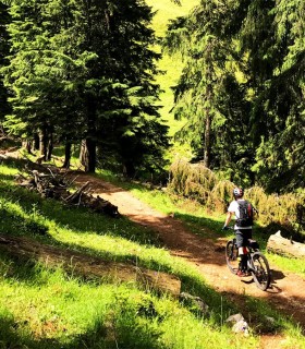 E-Bike tour of the forests of Poiana Brasov