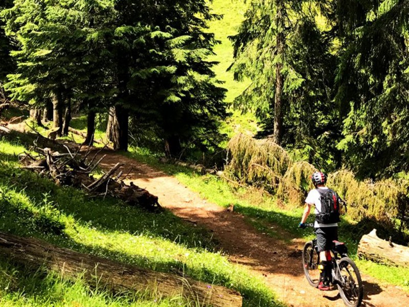 Tur pe E-Bike al padurilor din Poiana Brasov