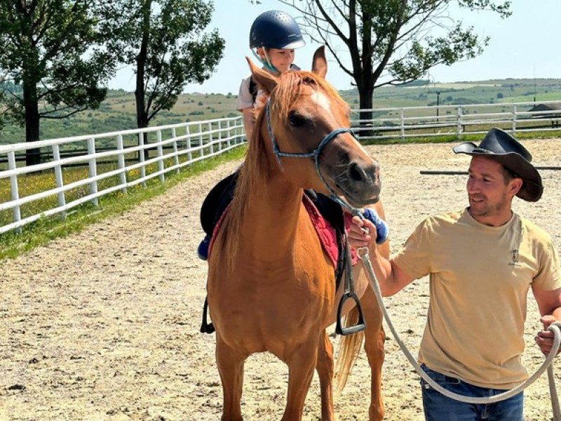 Your first riding session with thoroughbred Arabian horses near Sibiu