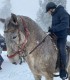 O zi de echitatie in natura si pranz haiducesc in zona Argesului
