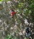 Rock climbing for adults and children at Cheile Turzii