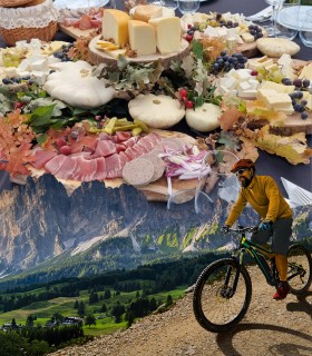 Trip to the sheepfold with electric bikes and picnic in nature
