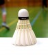 Individual badminton training with Carmen Blanaru