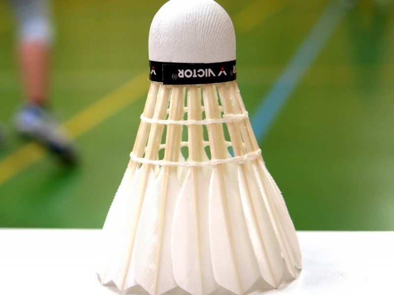 Individual badminton training with Carmen Blanaru