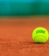 Experimenteaza jocul de tenis de camp pe un teren modern din Timisoara