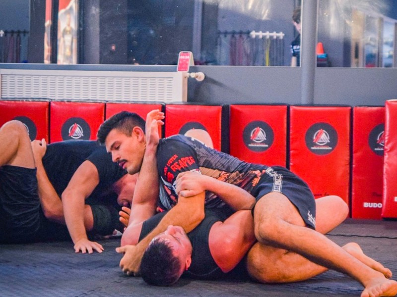 Brazilian Jiu-jitsu training for children and adults at Catalin Morosanu Academy