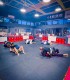 Brazilian Jiu-jitsu training for children and adults at Catalin Morosanu Academy