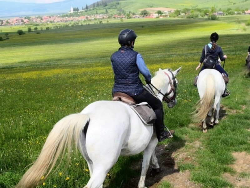 Tur de o zi, calare, in Carpatii Orientali