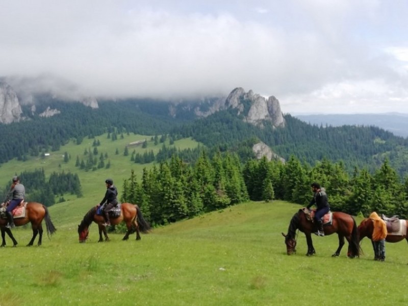 Tur de o zi, calare, in Carpatii Orientali