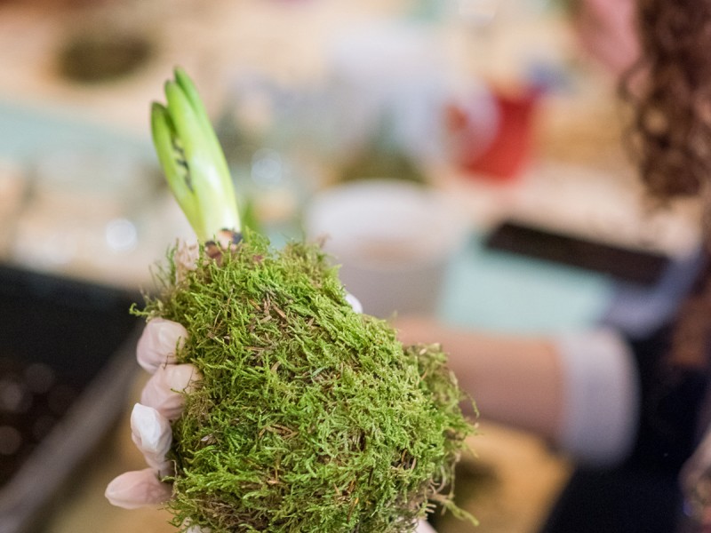 Kokedama kit and online workshop to create a natural plant pot