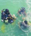 Scuba diving in 2 is fun and a great adventure
