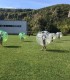 Bubble soccer - Incearca cea mai noua activitate sportiva