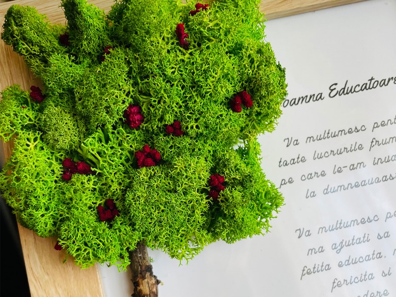 Tablouri handmade personalizate, din licheni, pentru orice ocazie