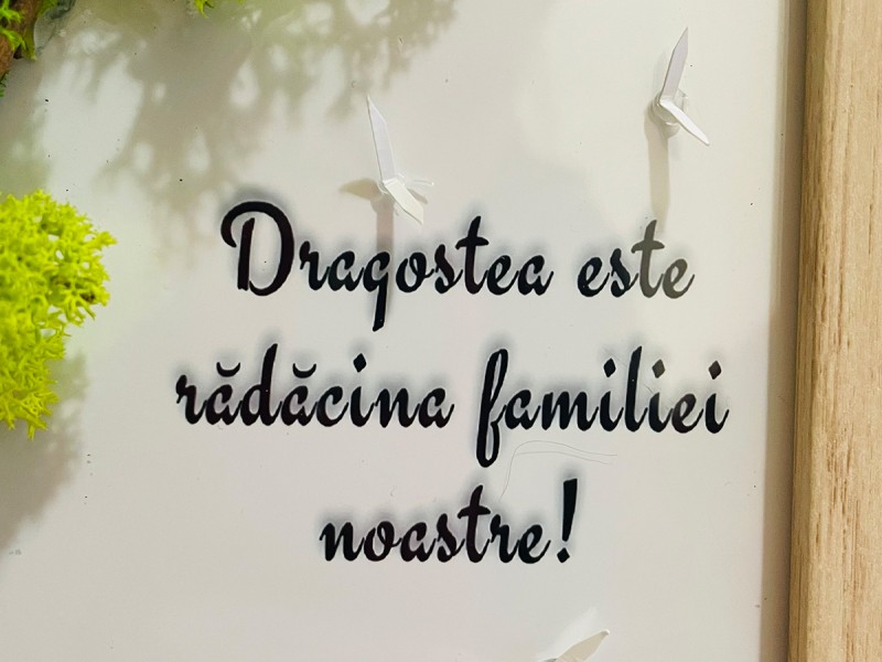 Tablouri handmade personalizate, din licheni, pentru orice ocazie