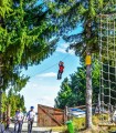 Experience the fun in the Arka Park Paltinis adventure park