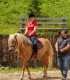 Initiation on horseback away from the urban, next to the the Leaota mountains