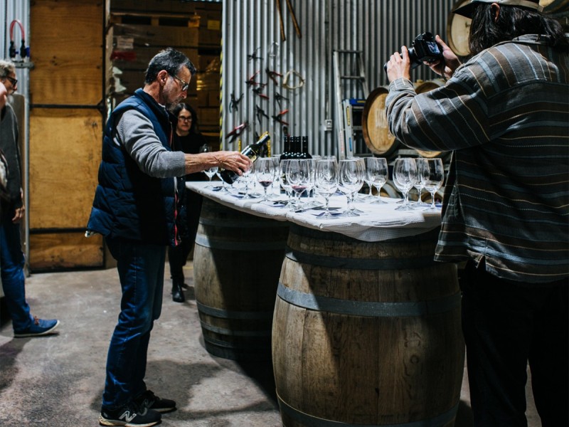 Trekking si degustare de vin la Domeniul Aristitiei cu prietenii tai