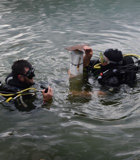 Descopera lumea subacvatica la cursuri de scuba diving in Covasna