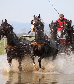 Unique activities at the equestrian center in Covasna