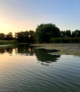 8-hour boat ride on the Tulcea-Mila 23- Letea in Delta route