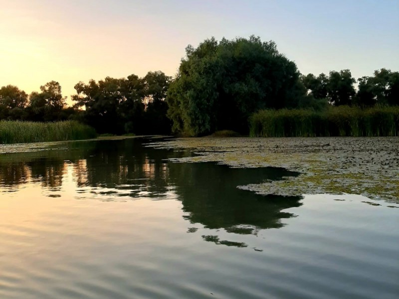 Plimbare cu barca de 8 ore pe traseul Tulcea-Mila 23- Letea in Delta