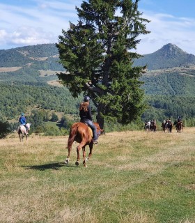 A day of horse riding in nature and a traditional lunch in the Arges area